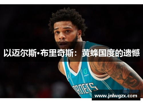 以迈尔斯·布里奇斯：黄蜂国度的遗憾